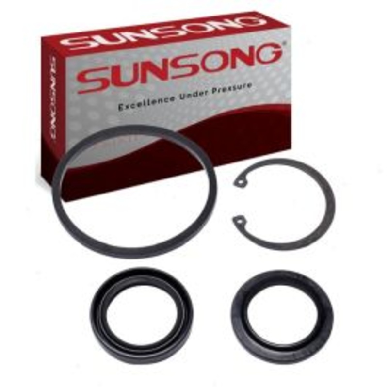 Sunsong Steering Gear Pitman Shaft Seal Kit for 1977-1979 Ford LTD II