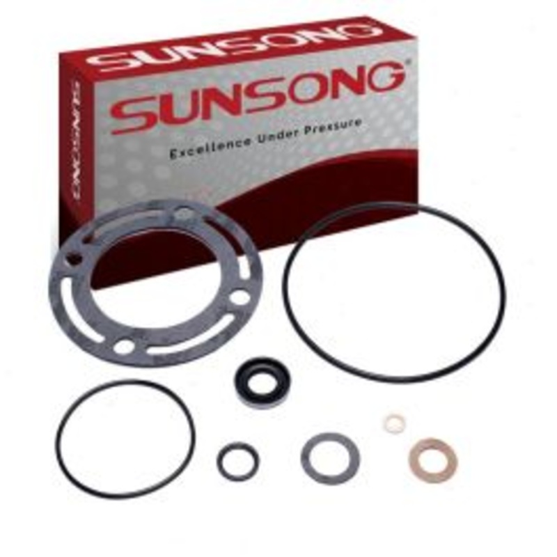 Sunsong Power Steering Pump Seal Kit for 1965-1967 Ford Galaxie