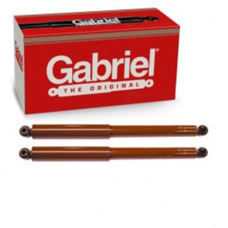 2 pc Gabriel Guardian 81730 Shock Absorbers