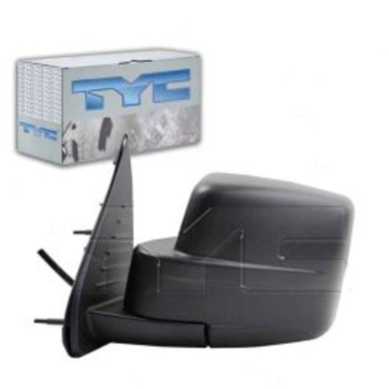 TYC 4140142 Door Mirror