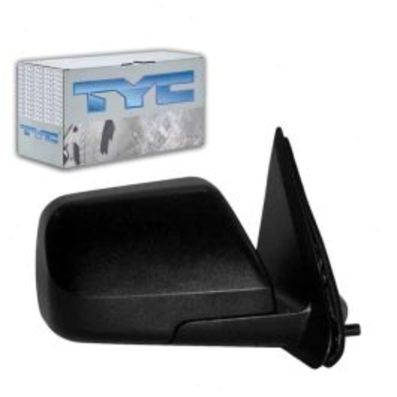 TYC 2600142 Door Mirror