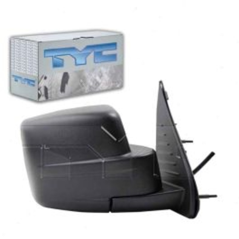 TYC 4140141 Door Mirror