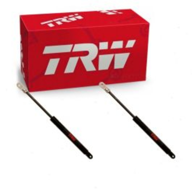 2 pc TRW Front Hood Lift Supports for 1978-1979 Porsche 930 3.3L H6
