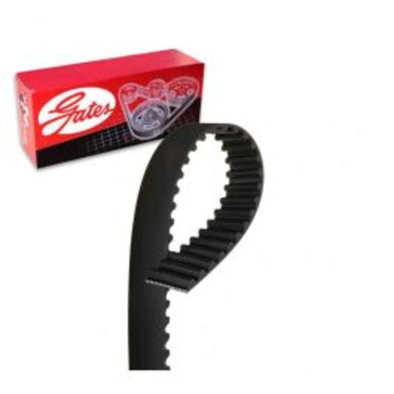 Gates T187 Engine Timing Belt