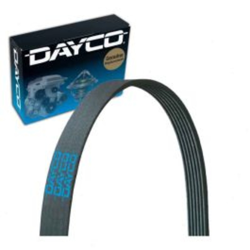 Dayco 5060885 Serpentine Belt