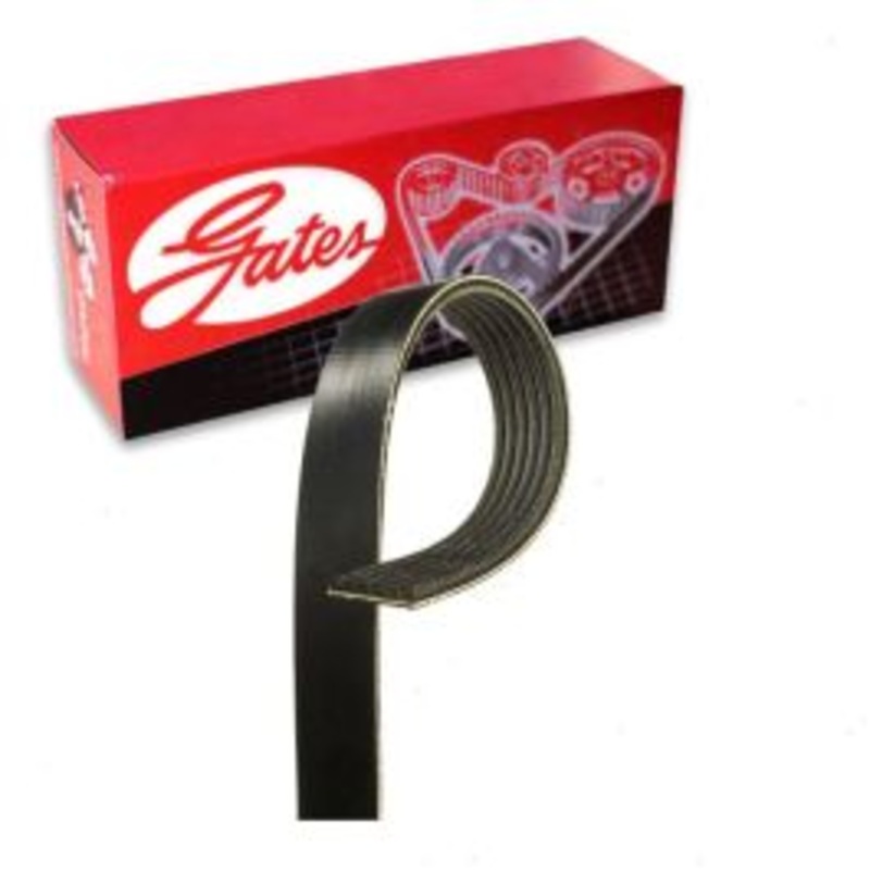 Gates Micro-V Supercharger Serpentine Belt for 1999-2004 Ford F-350 5.4L V8