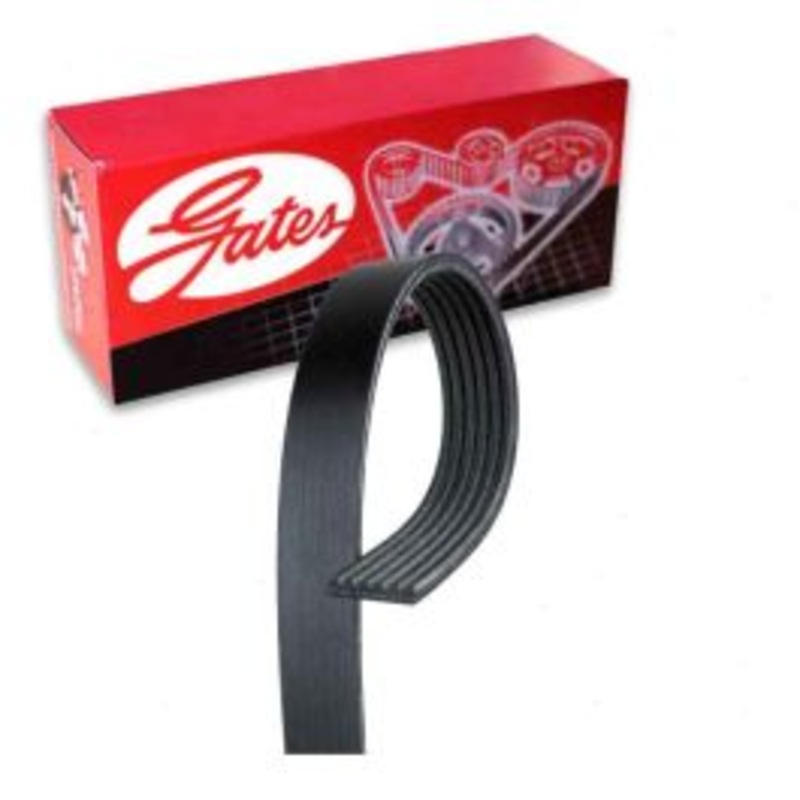 Gates Micro-V Serpentine Belt for 2019 Toyota C-HR 2.0L L4