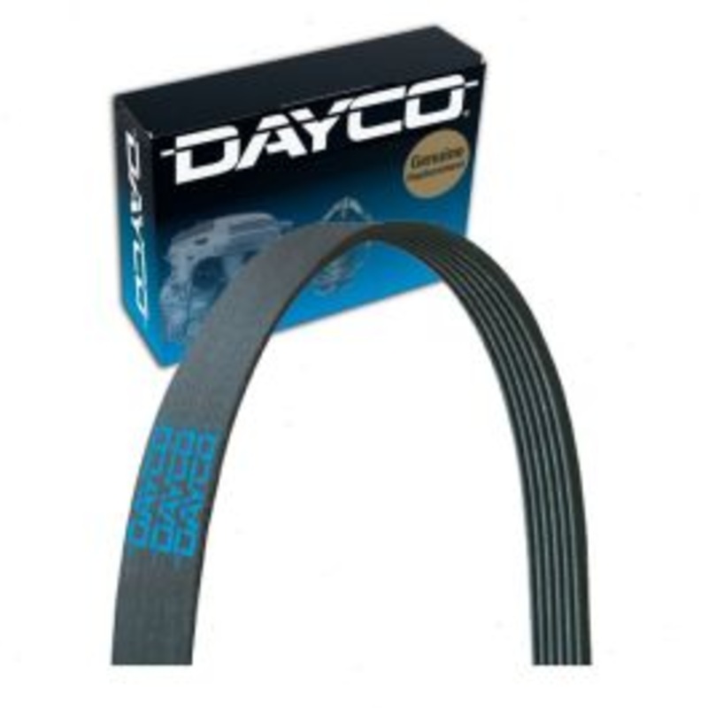 Dayco Main Drive Serpentine Belt for 2018 Buick Regal Sportback 3.6L V6