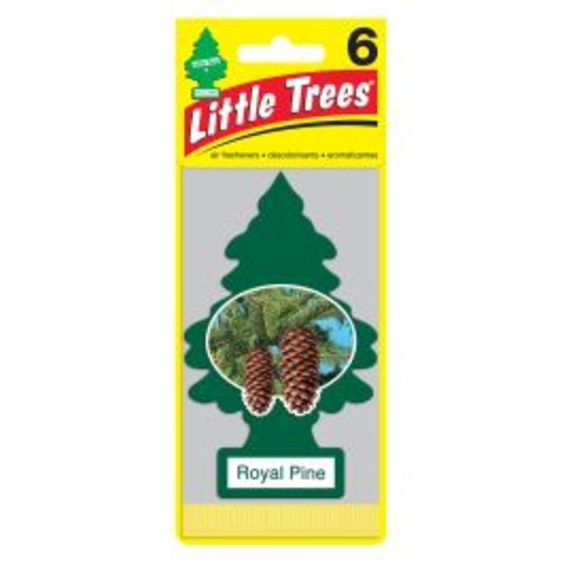Little Trees Royal Pine Air Freshener Home Car 6-12-24-48-96-144 pc